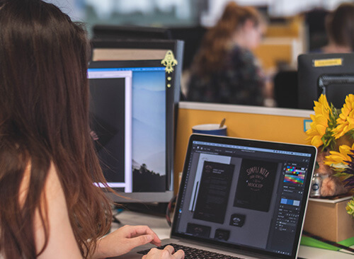 About WP Themes Point